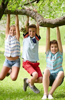 children hanging from branch